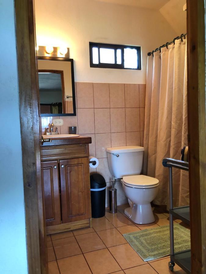 Cockatoo Studio Apartments Мануель-Антоніо Екстер'єр фото