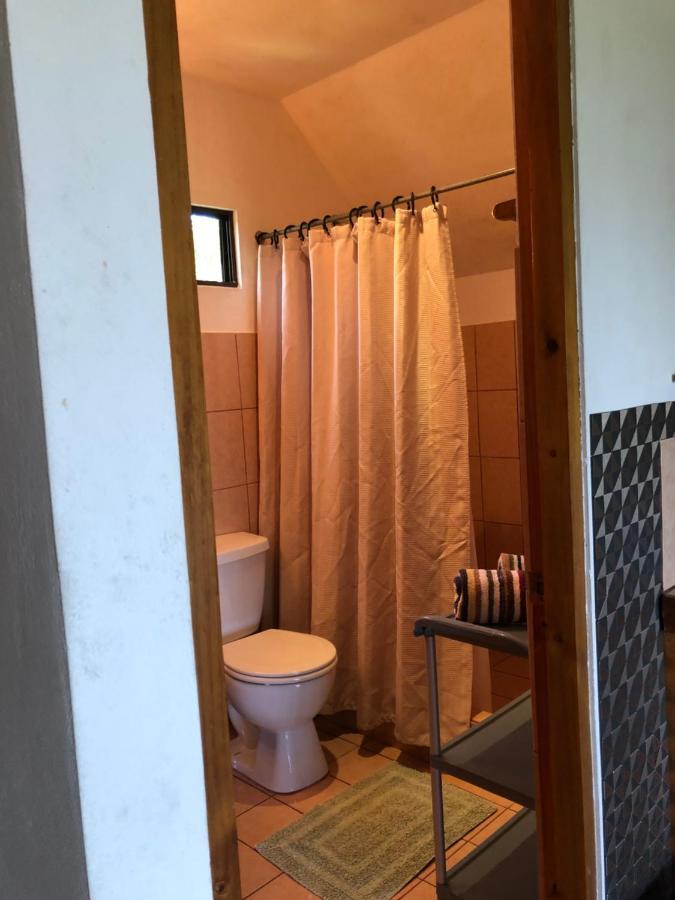 Cockatoo Studio Apartments Мануель-Антоніо Екстер'єр фото